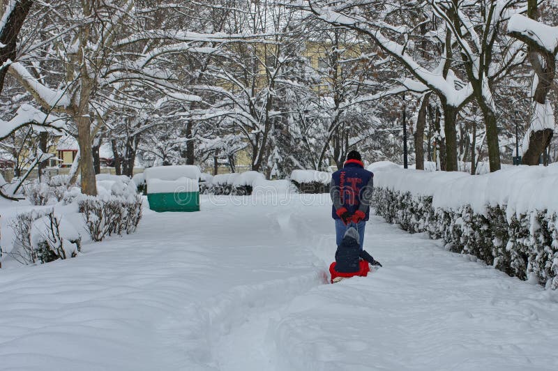 Winter landscape in the park. Winter and snow in Bucharest, Romania royalty free stock photography