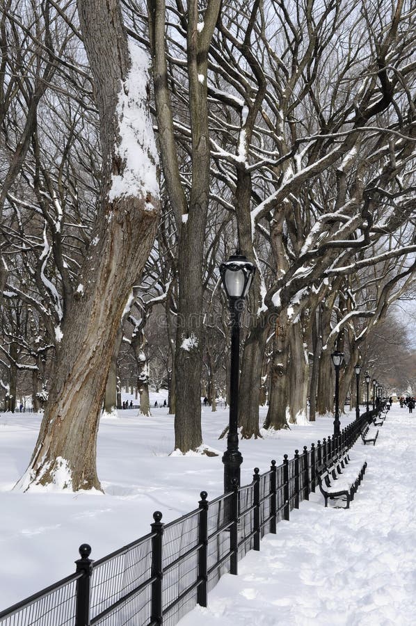 Winter in Central Park