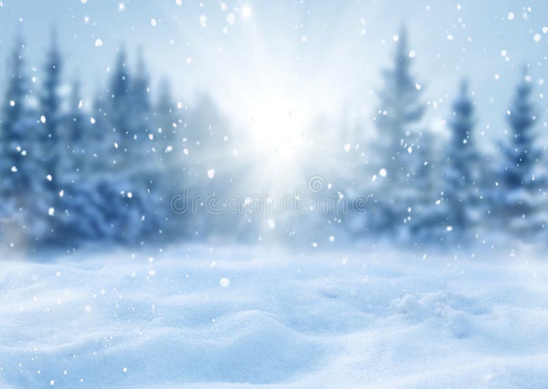 Winter Christmas background with fir trees