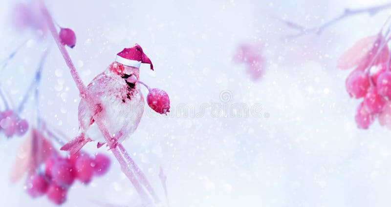 Winter christmas tender magic forest tale. Pink bright berries and sparrow in santa hat in a snowy park. New year concept.