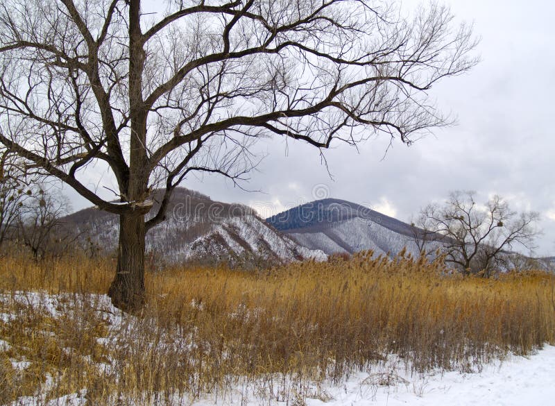 Winter cloudy day