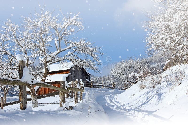 winter rural stunning landscape, picturesque morning view, beautiful sunrise in mountains, Carpathians, Huzul village Krasnik, Ukraine, Europe