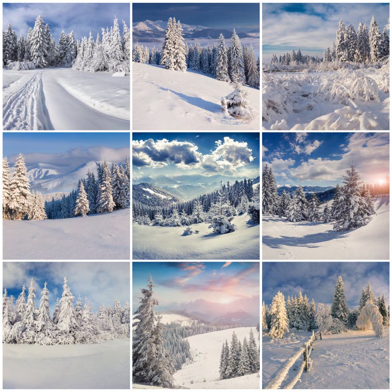 Winter Collage with Snow, Forest - Winter Season - Snowy Trees Stock ...