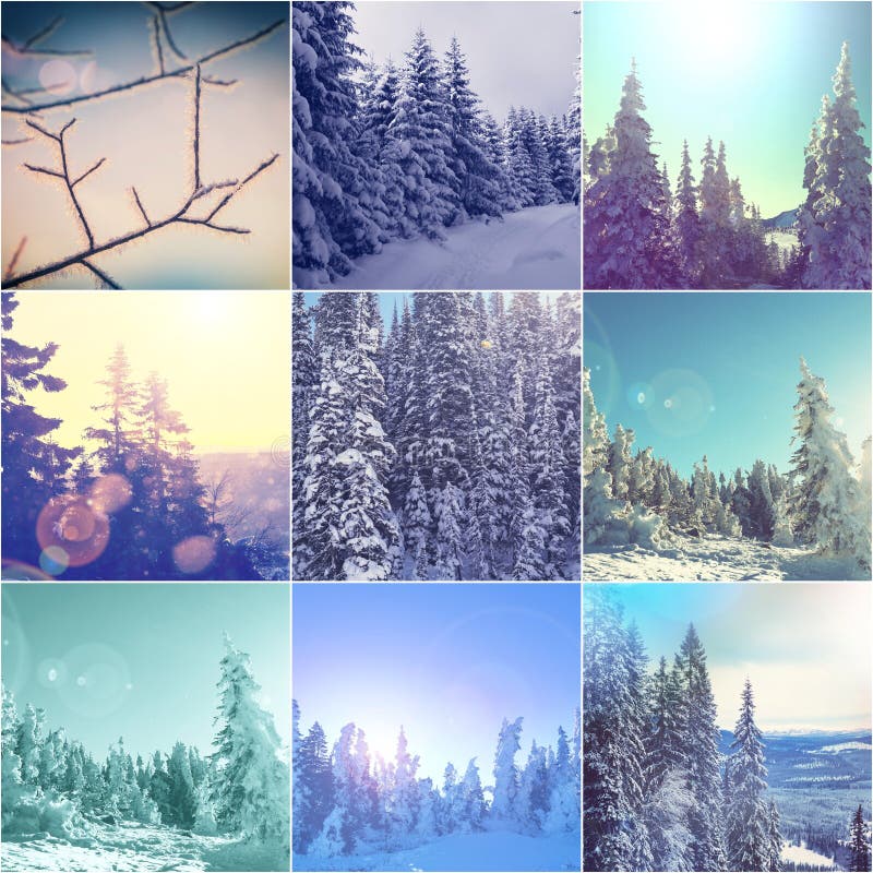 Winter collage stock photo. Image of frozen, sunny, holiday - 64157210