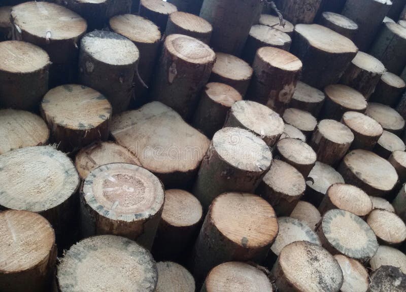 Winter is coming! Stack of firewood for the winter. Getting ready for a cold winter time. stock photography Winter is coming! Stack of firewood for the winter. Getting ready for a cold winter time. stock photography