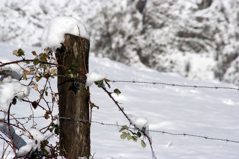 winter detail