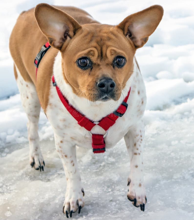269 Long Toenails Stock Photos Free & RoyaltyFree Stock Photos from