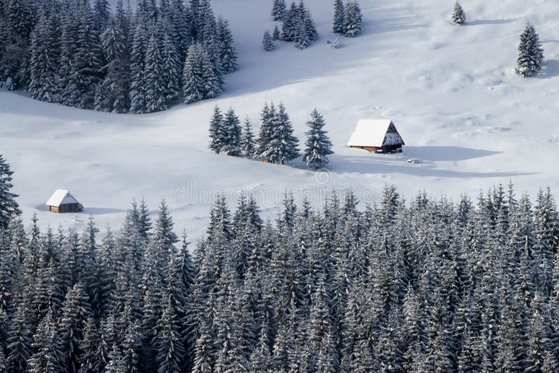 Winter dream in Tatras