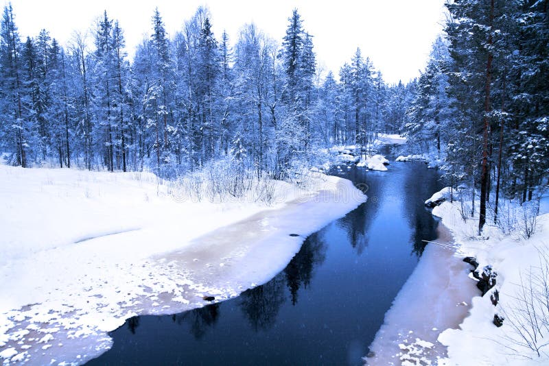 Winter evening in deep forest with river