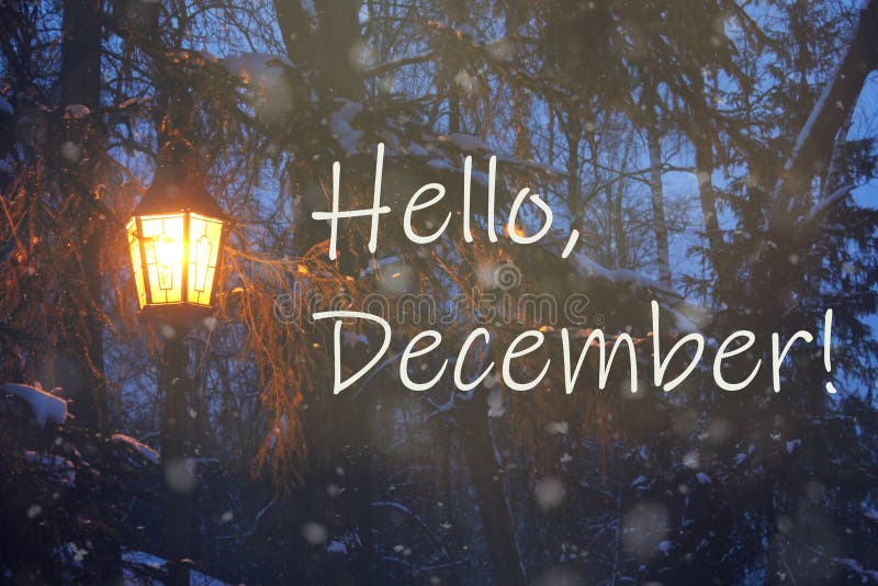 Winter evening landscape. Hello december concept. lantern in the Park