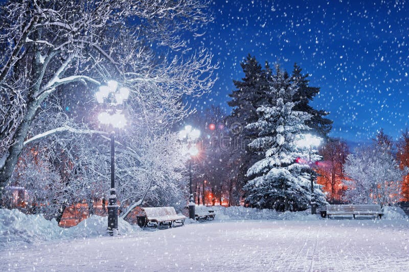The winter evening in the park. City landscape stock photo The winter evening in the park. City landscape stock photo