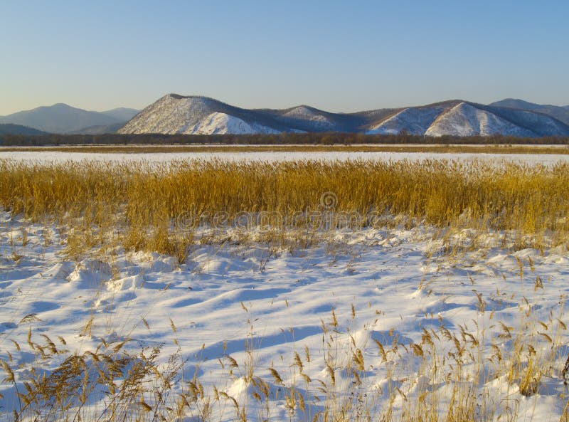 Winter evening in a river Ussuri valley, Russia