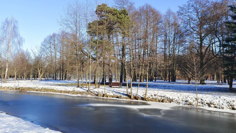In winter everything is covered with snow and the river is covered with ice. There are footprints in the snow. On the bank there i stock image