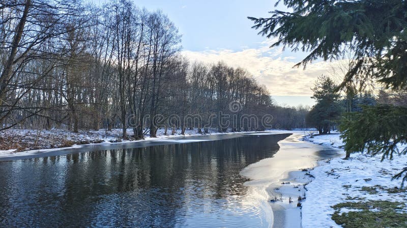 In winter everything is covered with snow and the river is partially covered with ice. There are footprints in the snow. Deciduous stock image