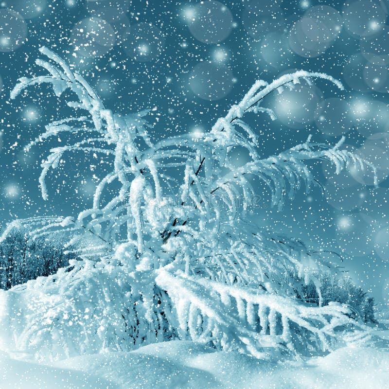 Winter fairy tale picture stock photo. Image of birch 34291160