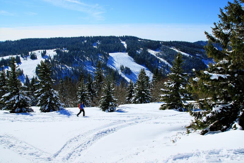 Winter on the Feldberg in the Black Forest