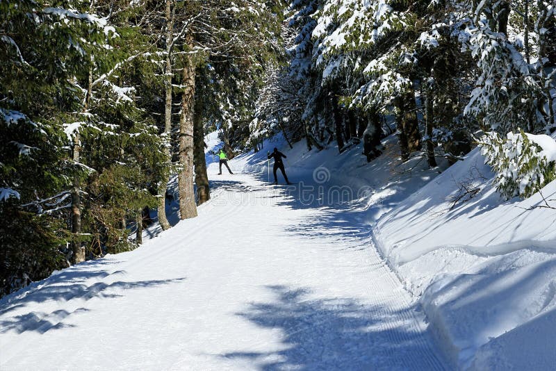 Winter on the Feldberg in the Black Forest