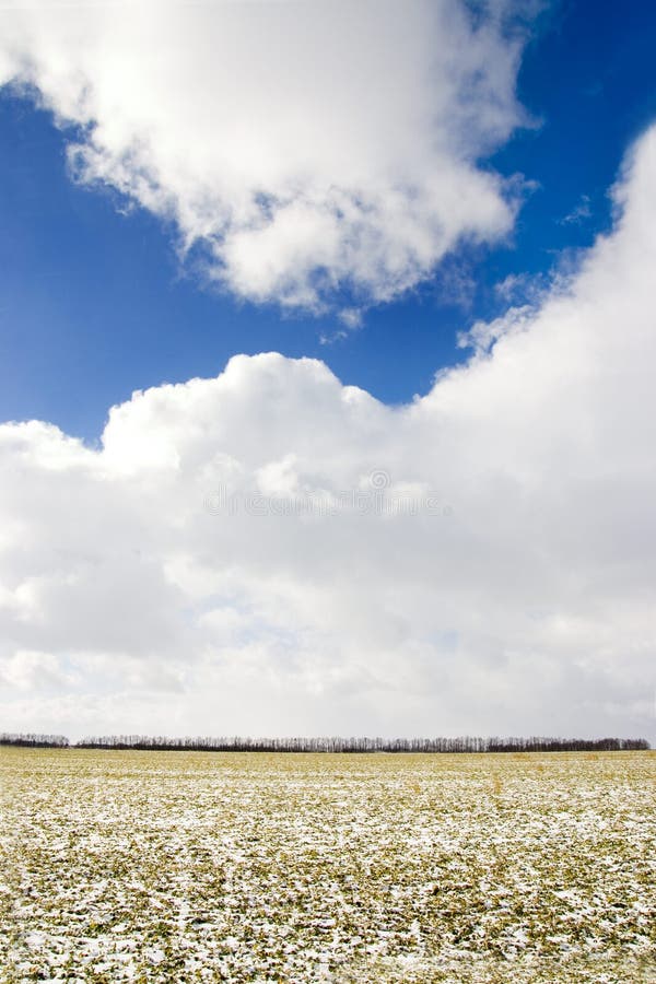 Winter field