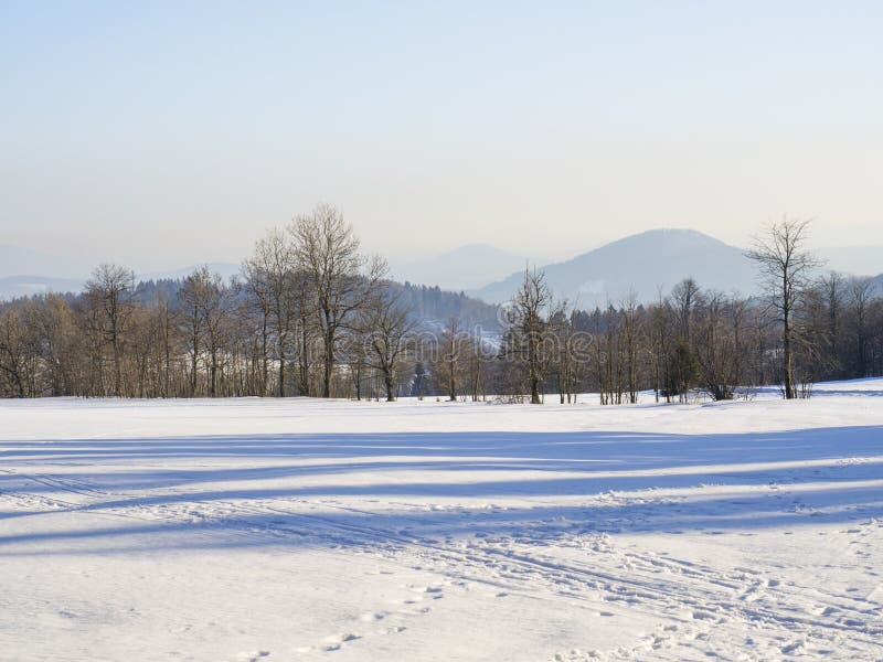 Winter field and forest countryside snow covered panoramic landscape with trees, hill in luzicke hory mountain stock photos Winter field and forest countryside snow covered panoramic landscape with trees, hill in luzicke hory mountain stock photos