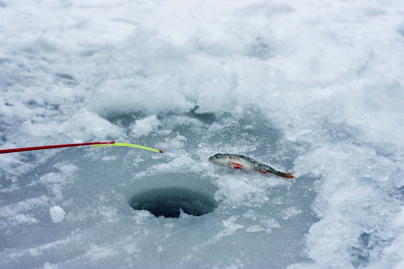 6,475 Ice Fishing Hole Stock Photos - Free & Royalty-Free Stock Photos from  Dreamstime