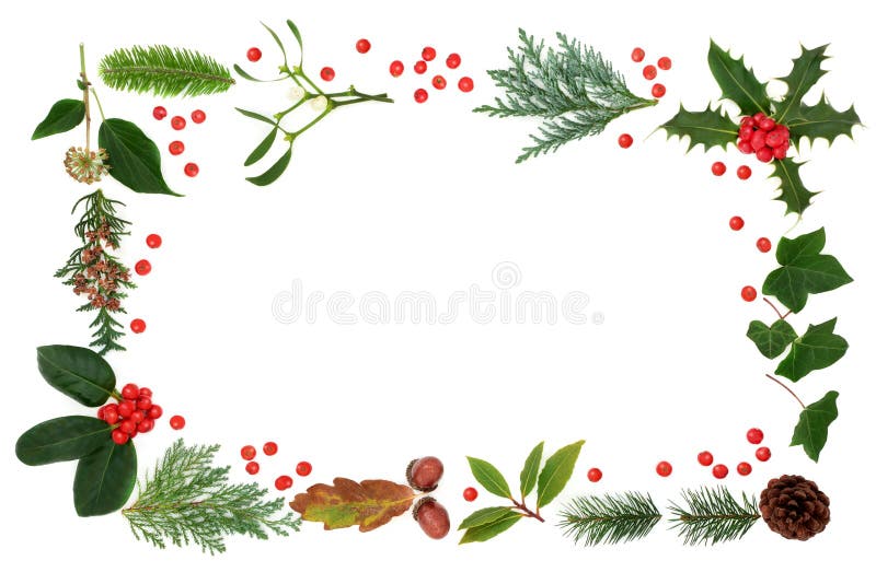 Christmas Flora and Fauna stock image. Image of nature - 32849669