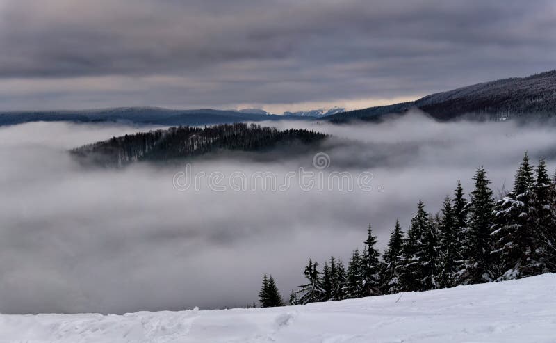 Winter foggy mountain landscape. Fairytale afternoon with misty