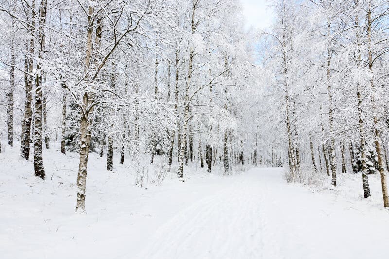 Winter footpaths