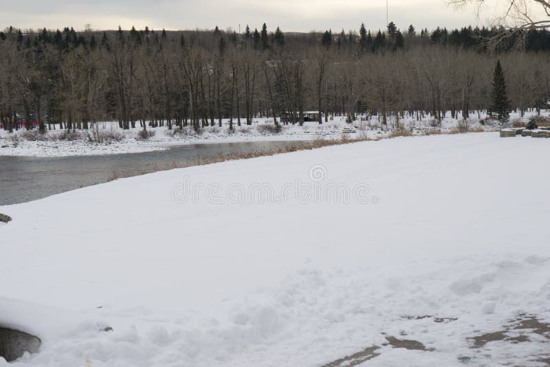 Winter Forest on Both Sides of a Road in Alberta Stock Photo Image of