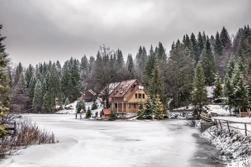 Winter forest in Carpathians