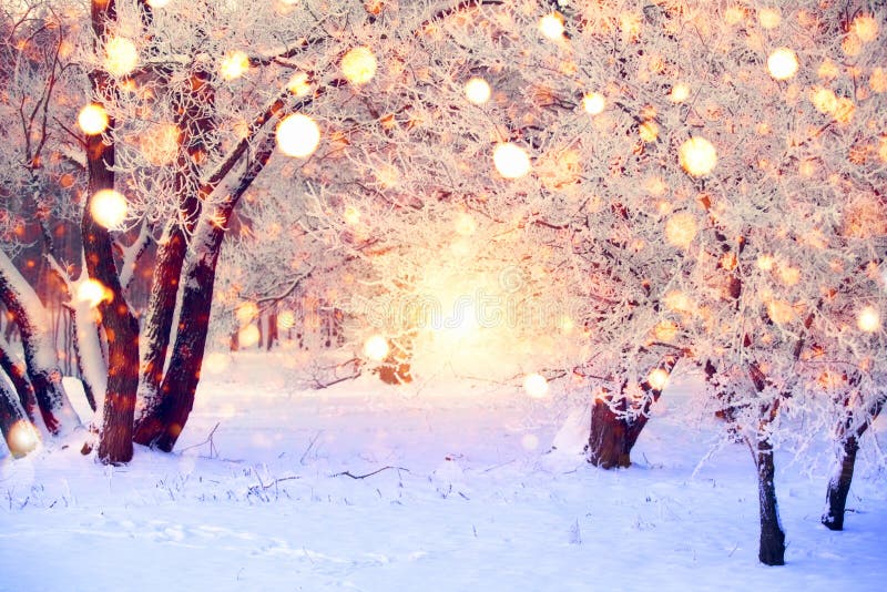 Beautiful Free Winter Wallpaper and Winter Desktop Backgrounds