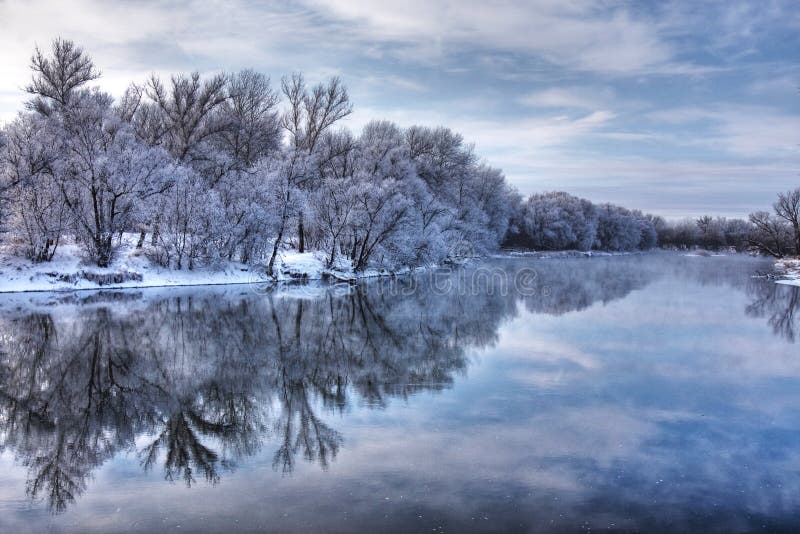 Winter forest river. With reflection of the sky royalty free stock photo