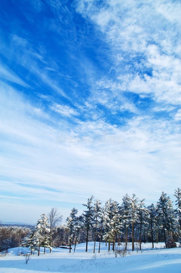 Bosco d'inverno e il cielo blu con nuvole soffici.