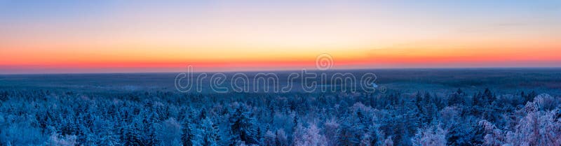 Winter forest and sunset. colorful panoramic view