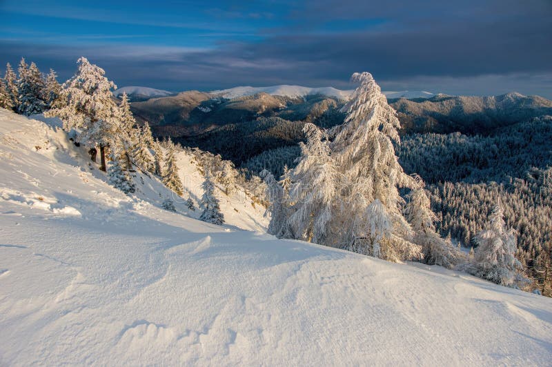 Zimní les ve Velké Fatře na Slovensku. Horská zimní krajina z vrcholu Ostra.