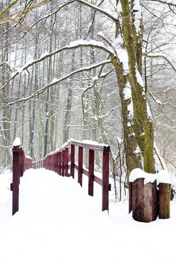 Winter Forest And Wooden Bridge Stock Image Image Of Natural Cool