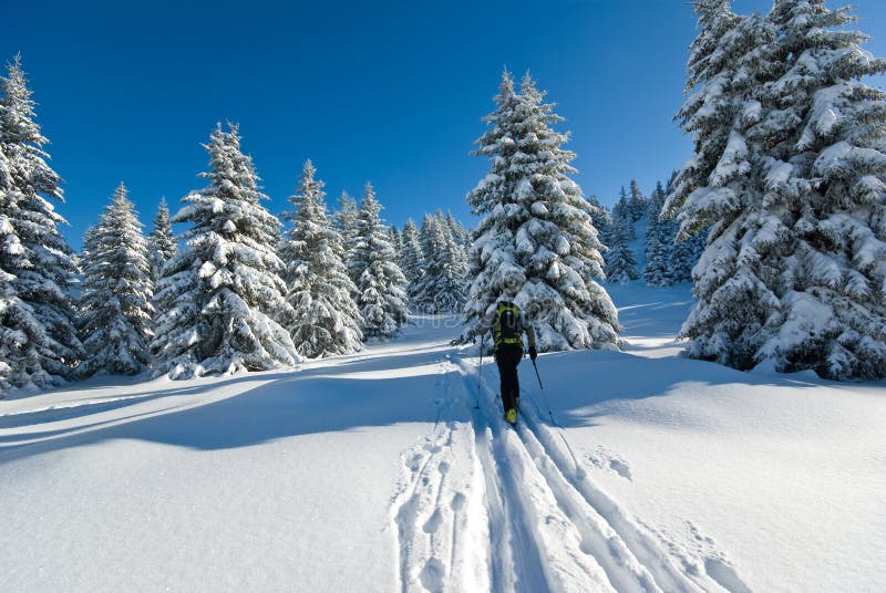 Winter in French alps stock photo. Image of snow, snowscape 8116254
