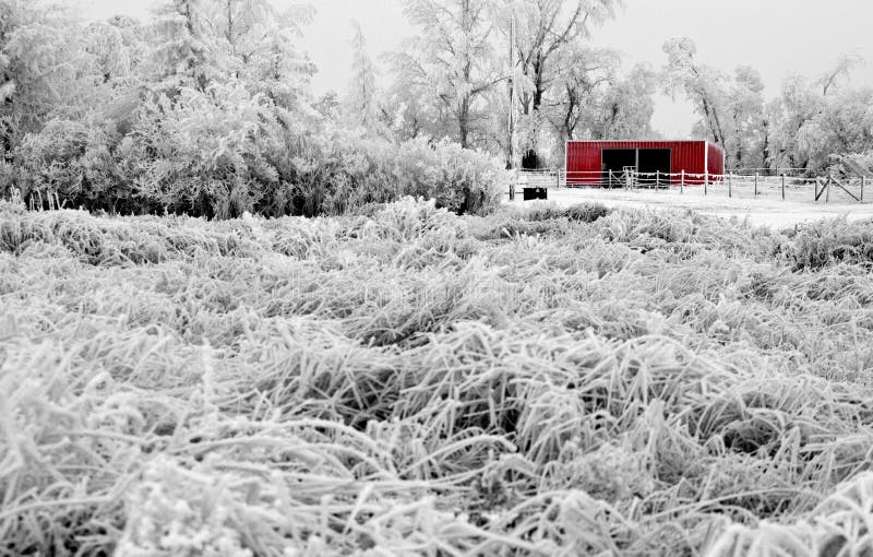 Winter Frost Saskatchewan