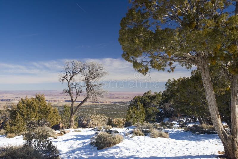 Winter in Grand Canyon, AZ