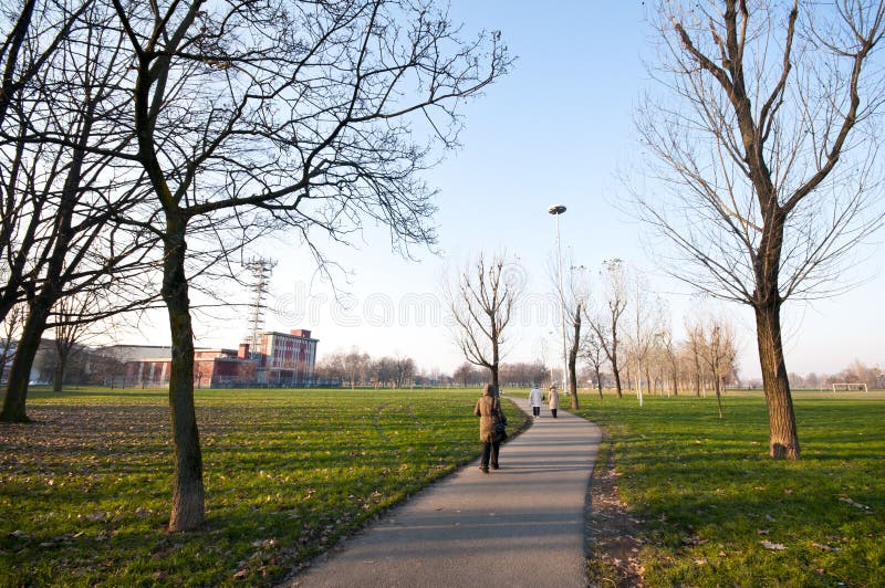 Winter green park with trees, dry leaves