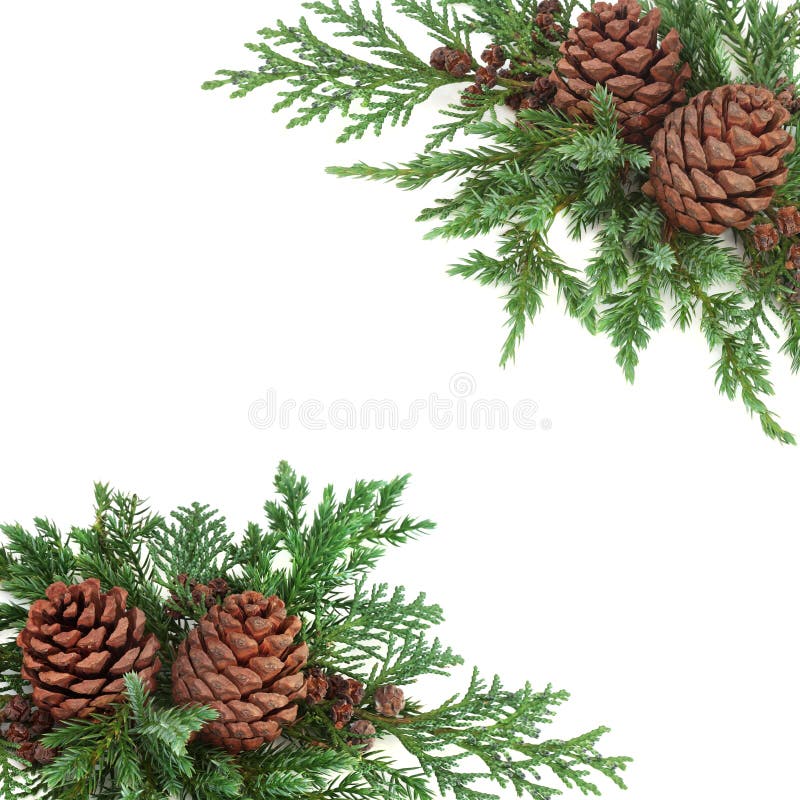 Christmas Greenery Border Images – Browse 8,691 Stock Photos