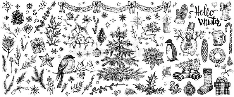 Christmas Hand Drawn Plants Collection. Holly Berries, Poinsettia ...