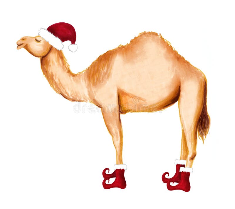 Happy Camel Stock Illustrations 2 900 Happy Camel Stock Illustrations Vectors Clipart Dreamstime Happy Camel Stock Illustrations 2 900 Happy Camel Stock Illustrations Vectors Clipart Dreamstime