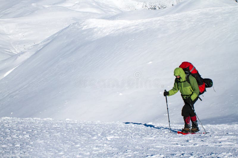 Winter hiking in the mountains on snowshoes with a backpack and tent. Backpack snowshoeing stock images, royalty-free photos and pictures