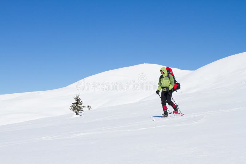 Winter hiking in the mountains on snowshoes with a backpack and tent. Backpack snowshoeing stock images, royalty-free photos and pictures