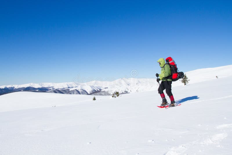 Winter hiking in the mountains on snowshoes with a backpack and tent. Backpack snowshoeing stock images, royalty-free photos and pictures