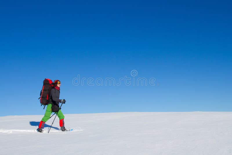 Winter hiking in the mountains on snowshoes with a backpack and tent. Backpack snowshoeing stock images, royalty-free photos and pictures