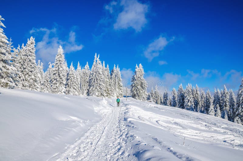 Winter hiking road in mountains with snow royalty free stock image