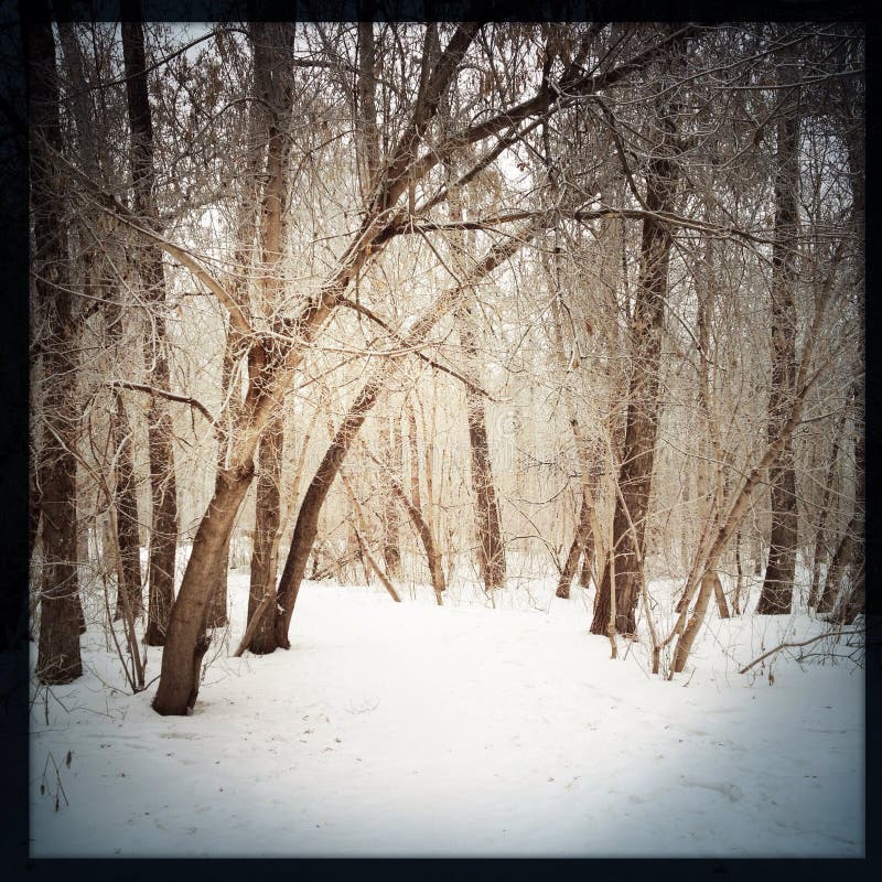 Winter hiking trail. stock images