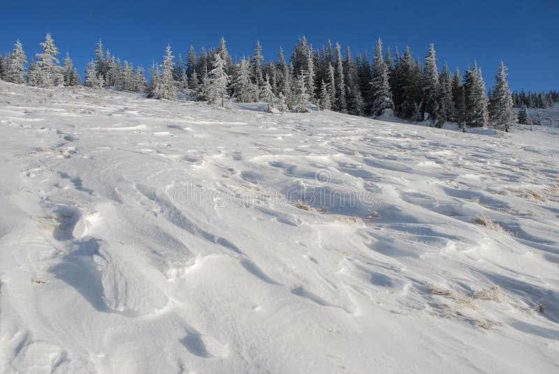 Winter hillside