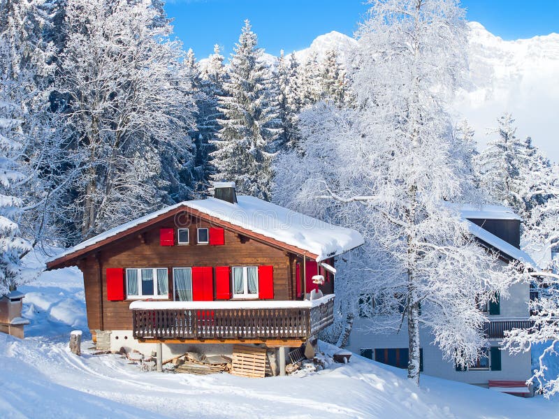 Winter holiday house